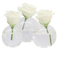 Load image into Gallery viewer, SIENNA VASE GLASS STYLE - (SET OF 3)
